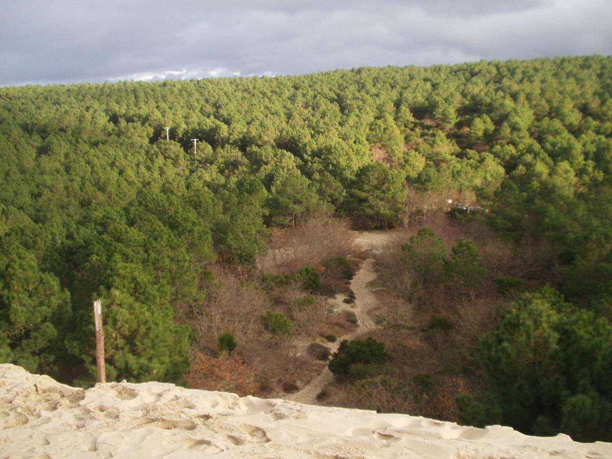 Les Amandiers Biscarrosse Exterior foto